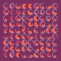 Dynamic Slices #377