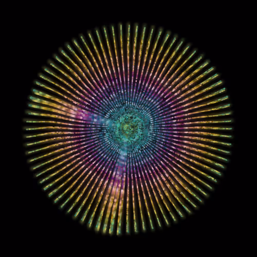 Item #27000683 Media