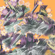 Fragments of an Infinite Field #368