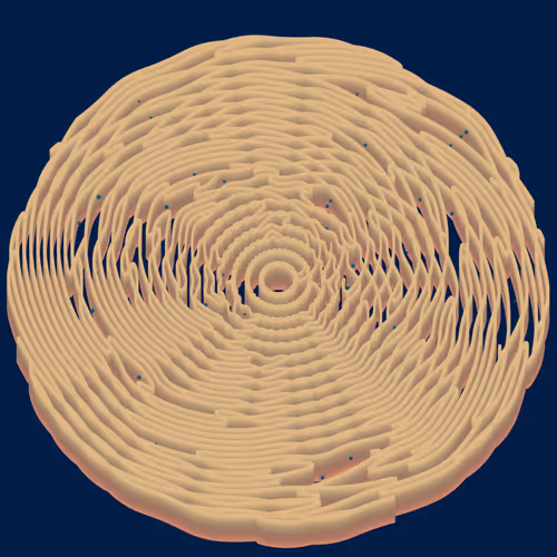 Item #224000177 Media