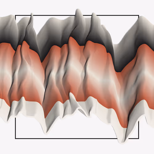 Item #28000029 Media