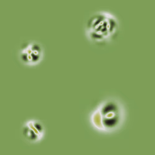 Quantum Collapses By Insight