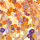 Fragments of an Infinite Field #375