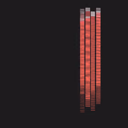 Silhouette #364