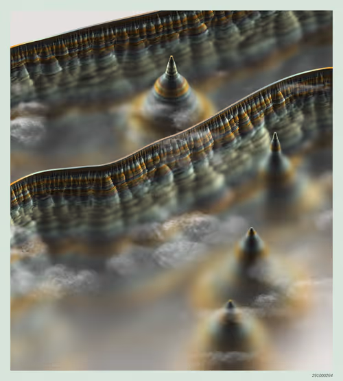 Item #291000264 Media