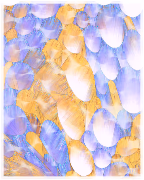 Item #344000153 Media