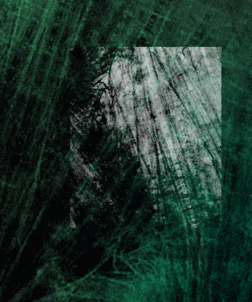 Item #317000070 Media