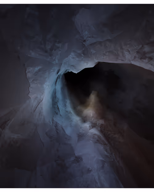 Item #217000072 Media