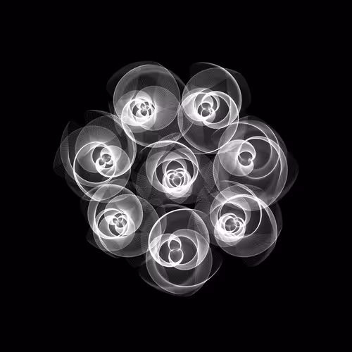 Flowers By Rvig