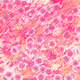 Fragments of an Infinite Field #336