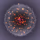 250000780