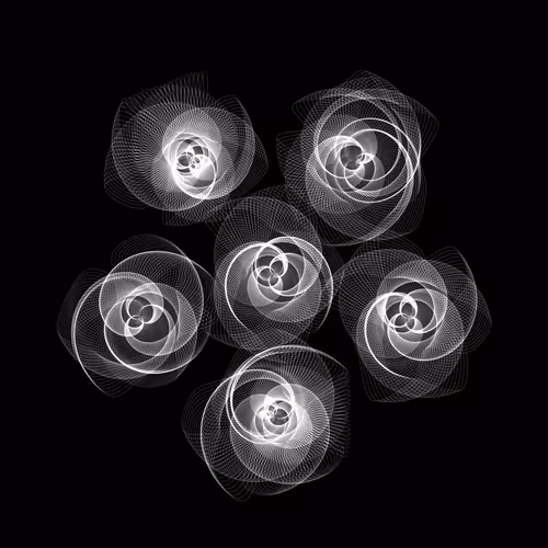 Flowers By Rvig