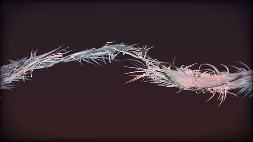 Item #201000131 Media