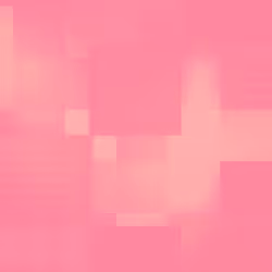 332000206