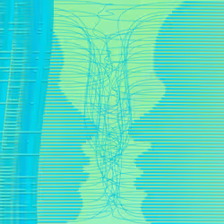 [Dis]entanglement #113