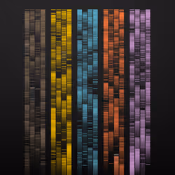 Gels #19