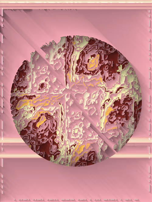 Item #319000079 Media