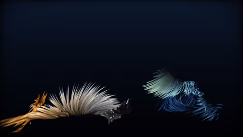 Item #201000075 Media