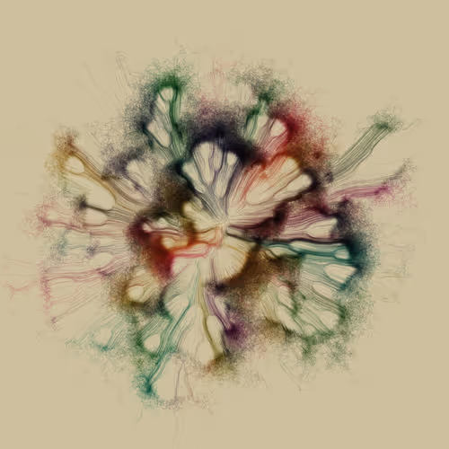 Item #165000399 Media