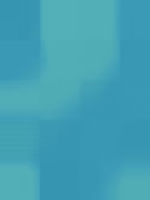 Item #332000248 Media