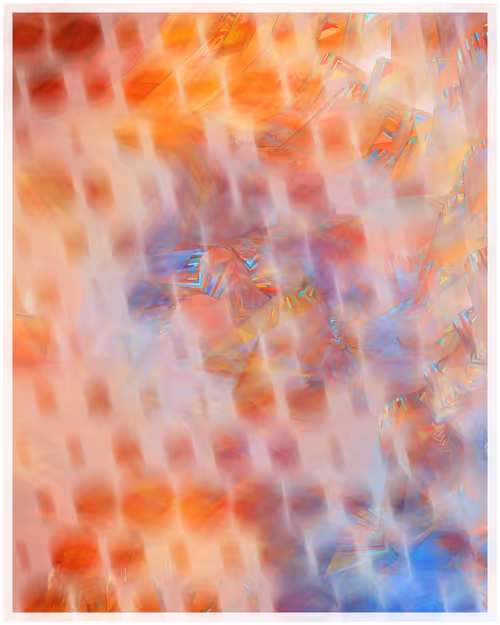 Item #344000081 Media