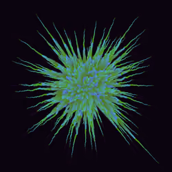 Star Flower #605