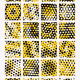 257000053