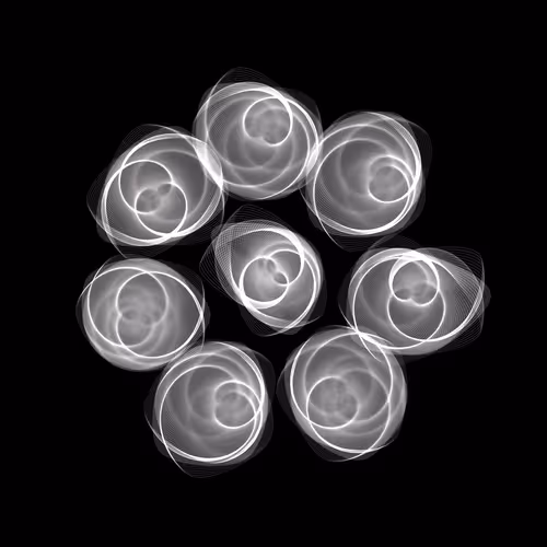 Flowers By Rvig