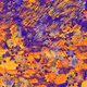 Fragments of an Infinite Field #364