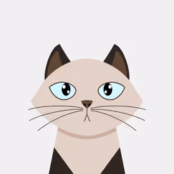 CatBlocks #39