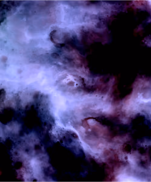 Item #129000792 Media