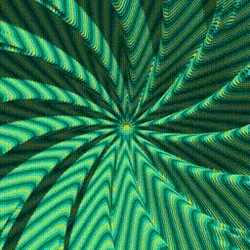 Vortex #310