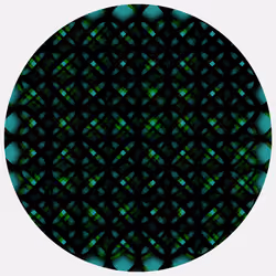 Ouroboros #326