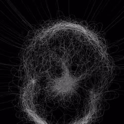 Phototaxis #261