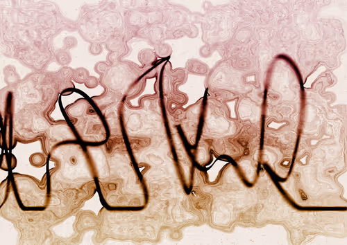 Item #328000011 Media