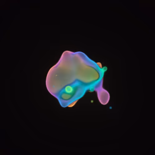 Item #62000235 Media