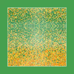 Transitions #4694