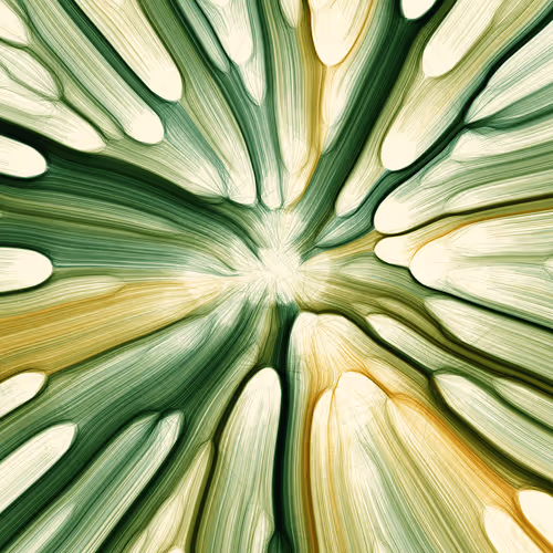 Item #96000288 Media