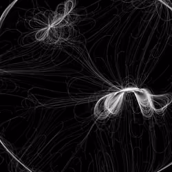 Phototaxis #536
