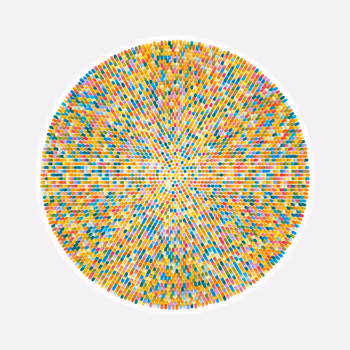Transitions By Jason Ting X Matt Bilfield