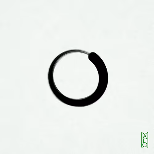 Ensō #865
