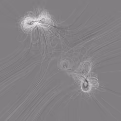 Phototaxis #434