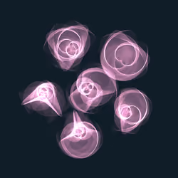 Flowers #5307