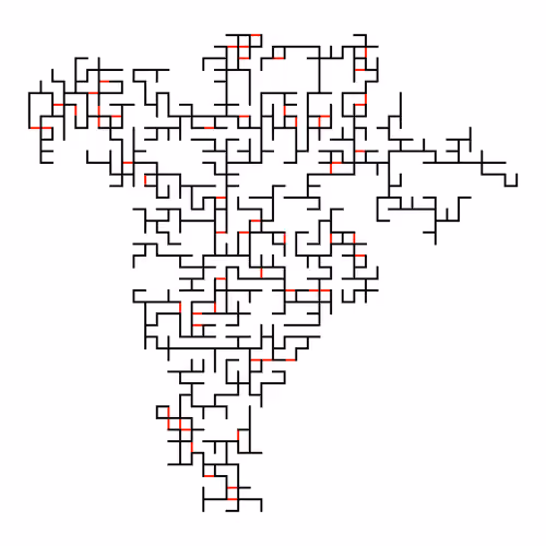Invasion Percolation #209