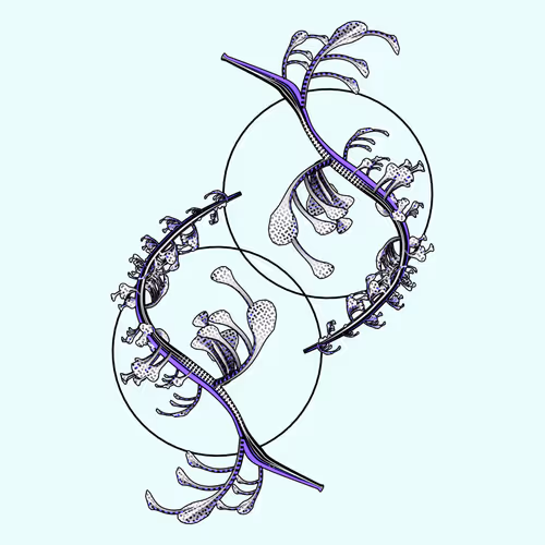 Item #160000387 Media