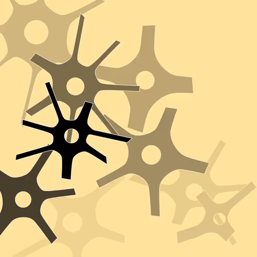 Item #122000489 Media