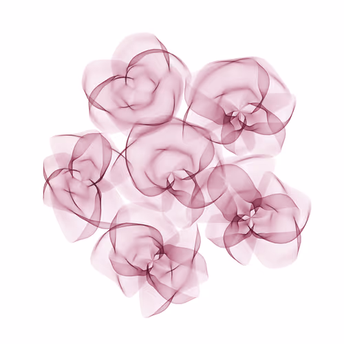 Flowers #3469
