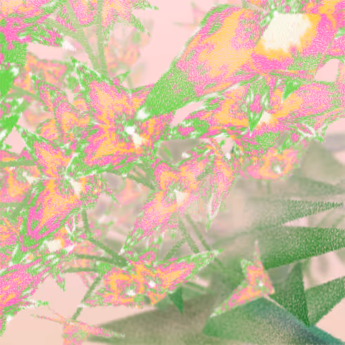 Item #308000215 Media