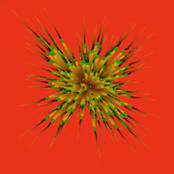 Star Flower #861