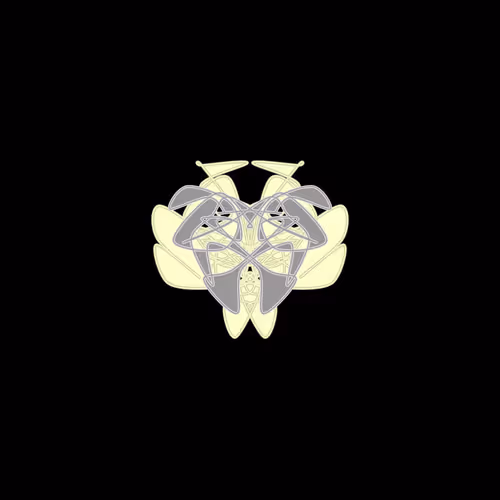 Cryptoblots By Daim Aggott Honsch